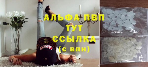 стафф Алексин