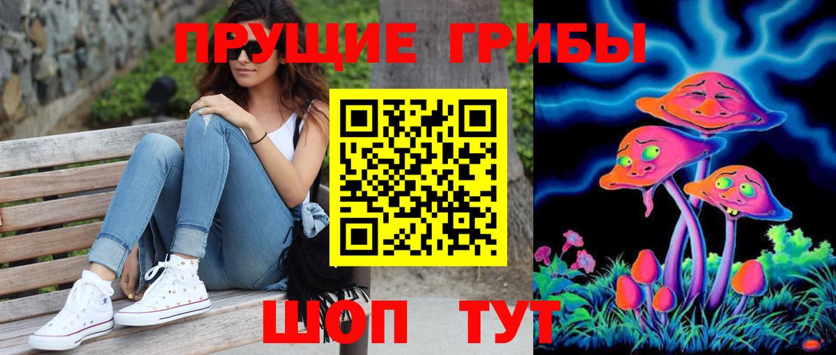 Красноармейск  где купить наркоту  Вход с VPN  Псилоцибиновые грибы мицелий 