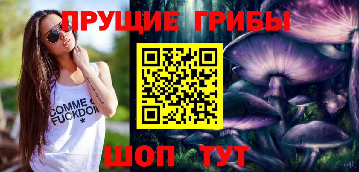 Псилоцибиновые грибы мицелий Красноармейск